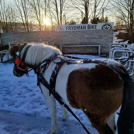 Apartmán W Zagrodzie Frydman